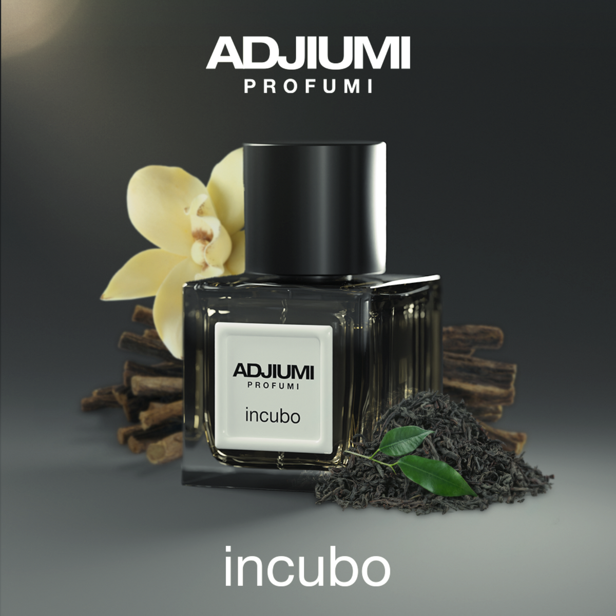 incubo